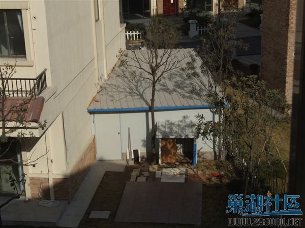 狗狗放假了