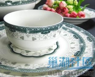 凤尾菊.jpg