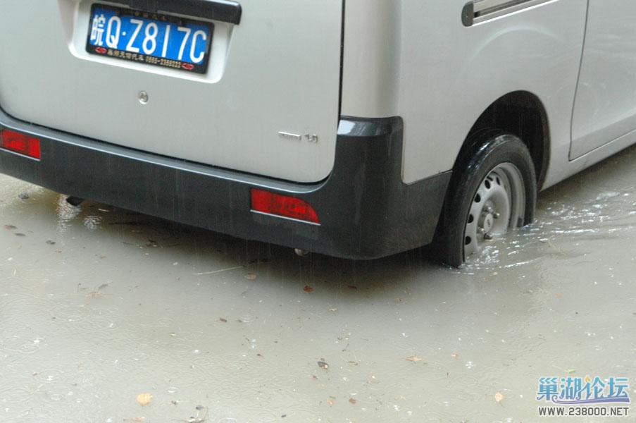 DSC_2697.jpg