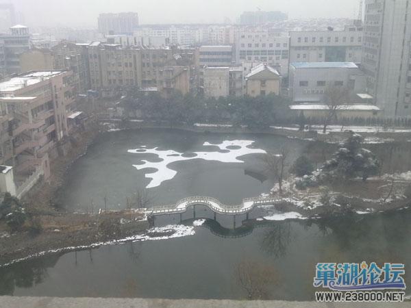 20110119061.jpg