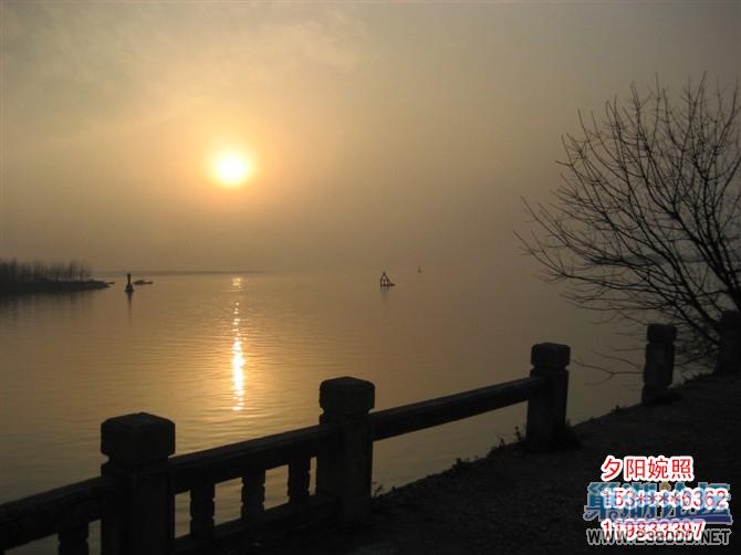 夕阳婉照