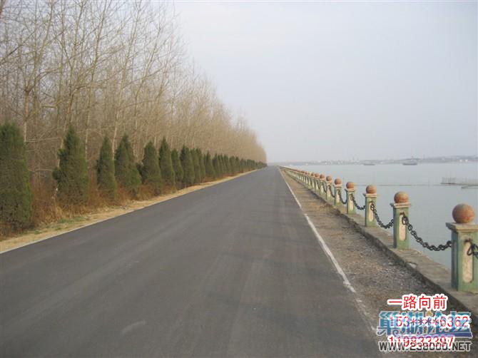 一路向前
