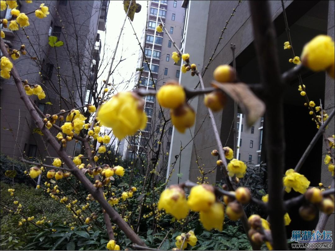 未命名2.jpg