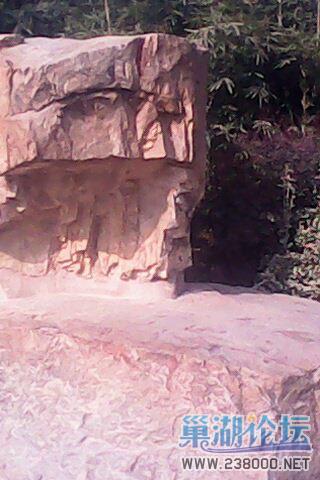 IMG0035A.jpg