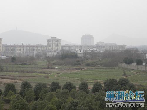 旗鼓相当