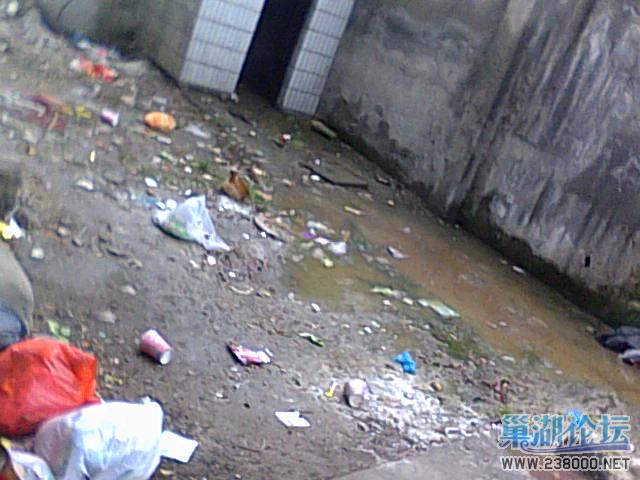 化粪池堵塞