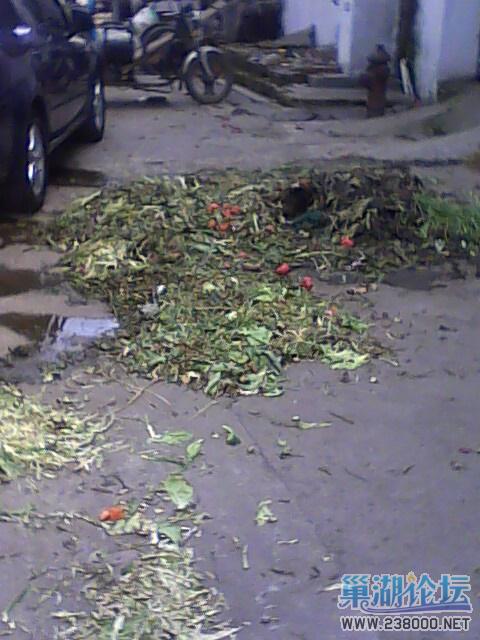 IMG0502141200.jpg