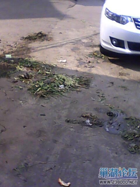 IMG0502141201.jpg