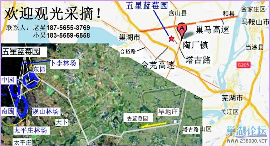 含山五星蓝莓园地图2.jpg