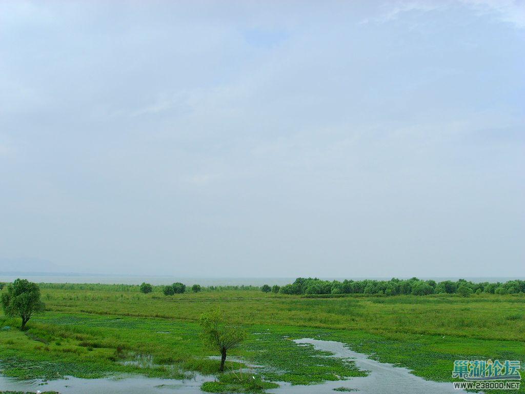 巢湖湿地2.JPG