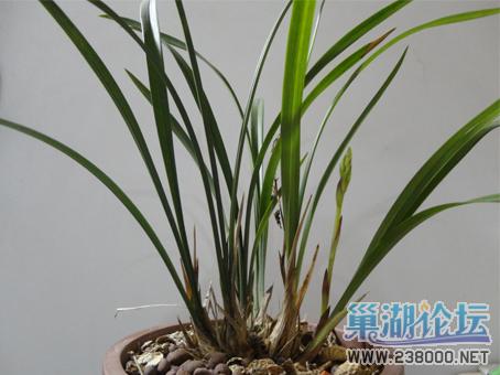未标题-1.jpg