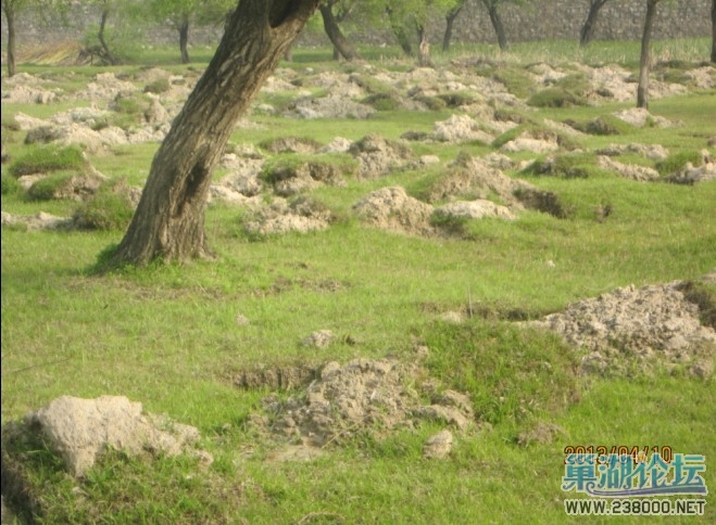 未命名4.jpg