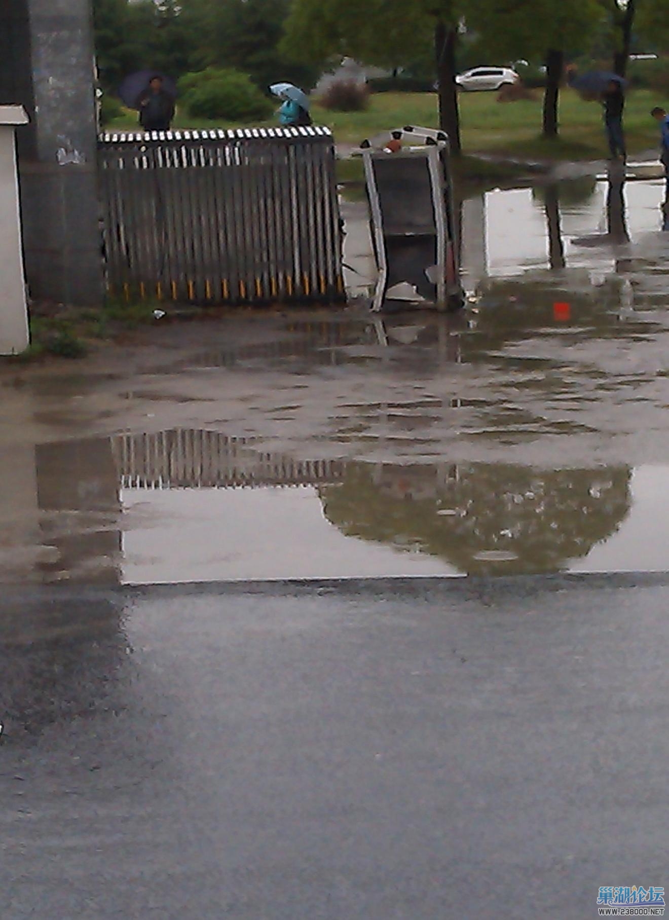 IMAG0440.jpg