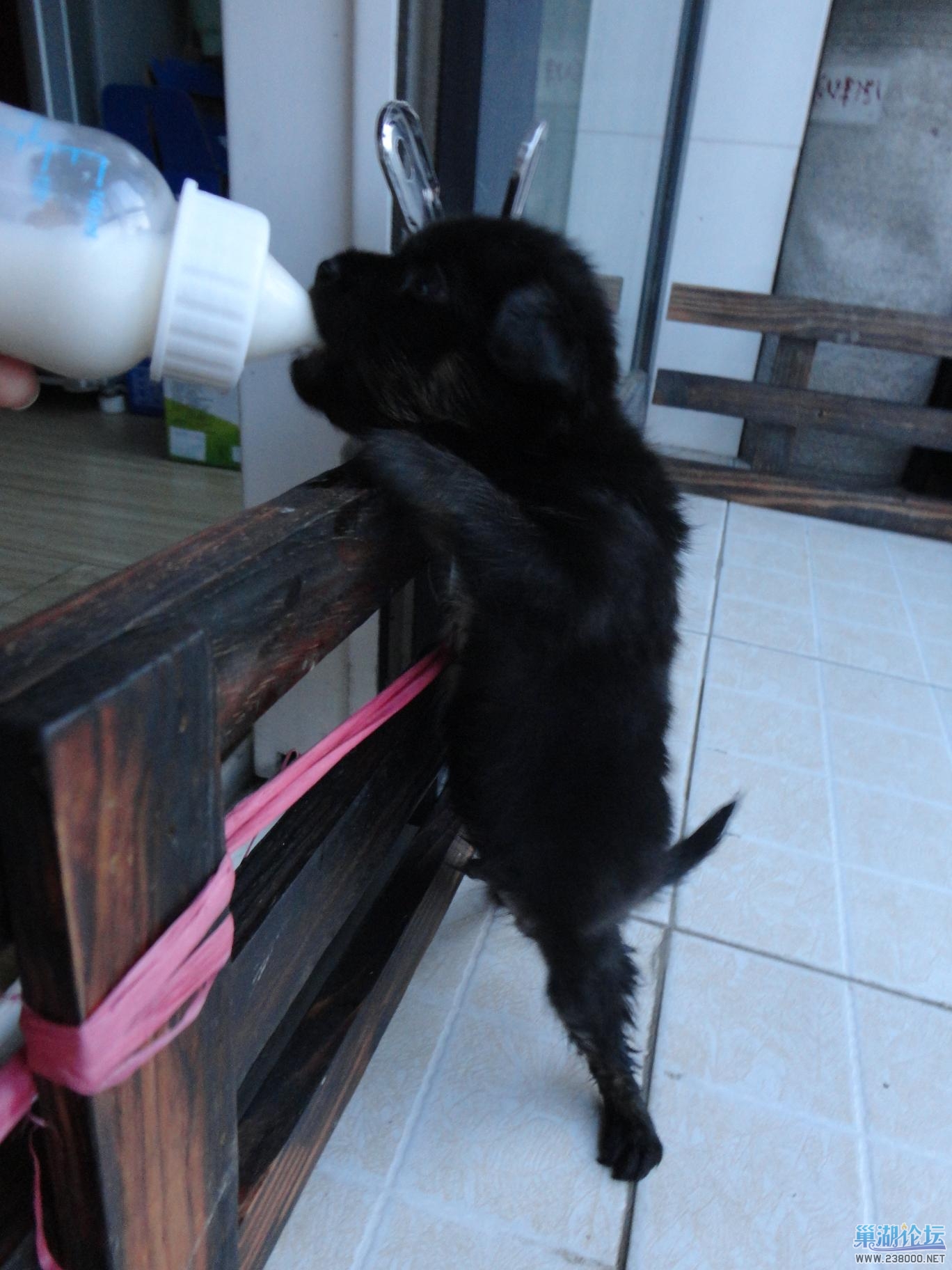 DSC01316.JPG