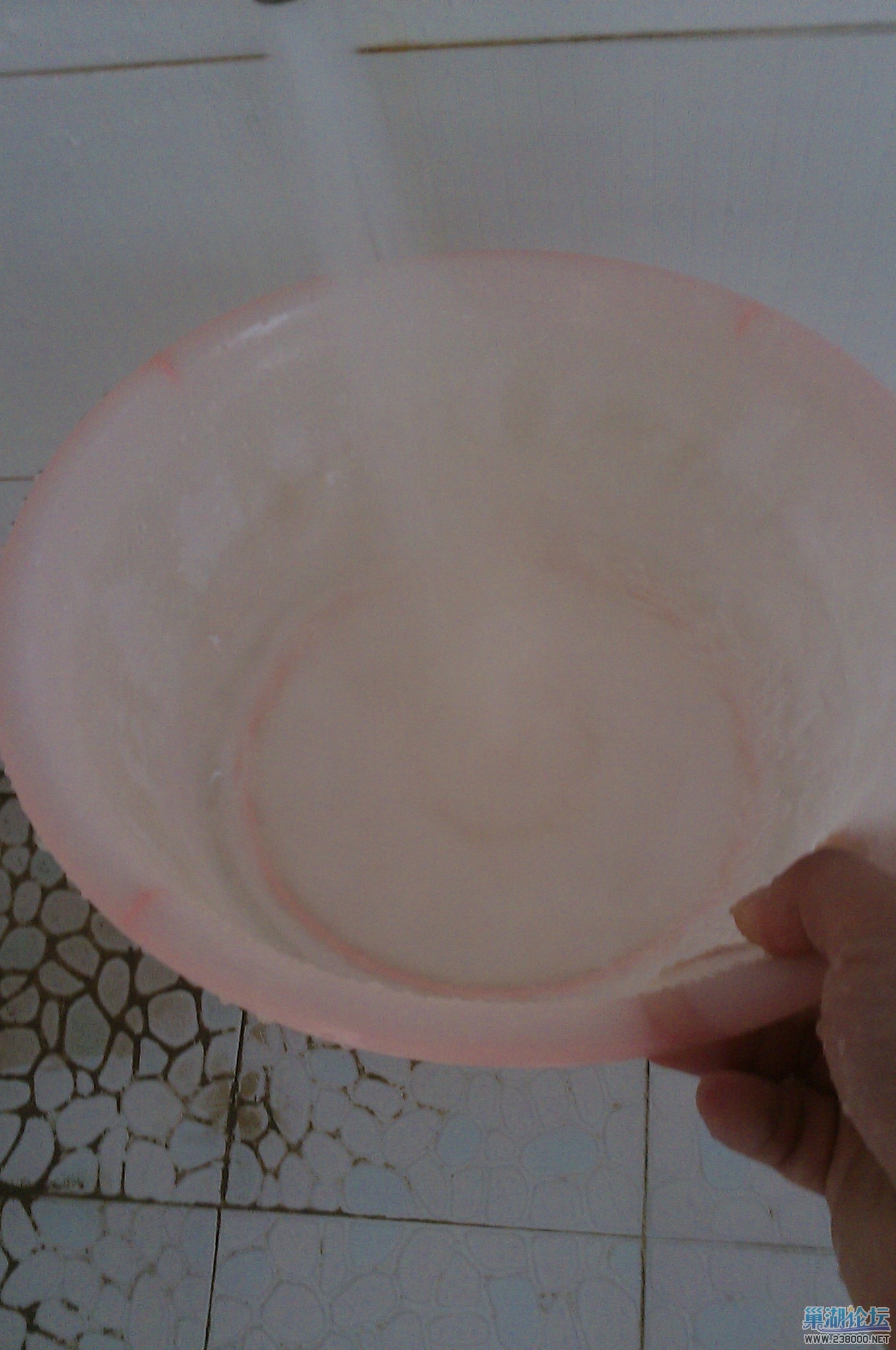 IMAG0032.jpg