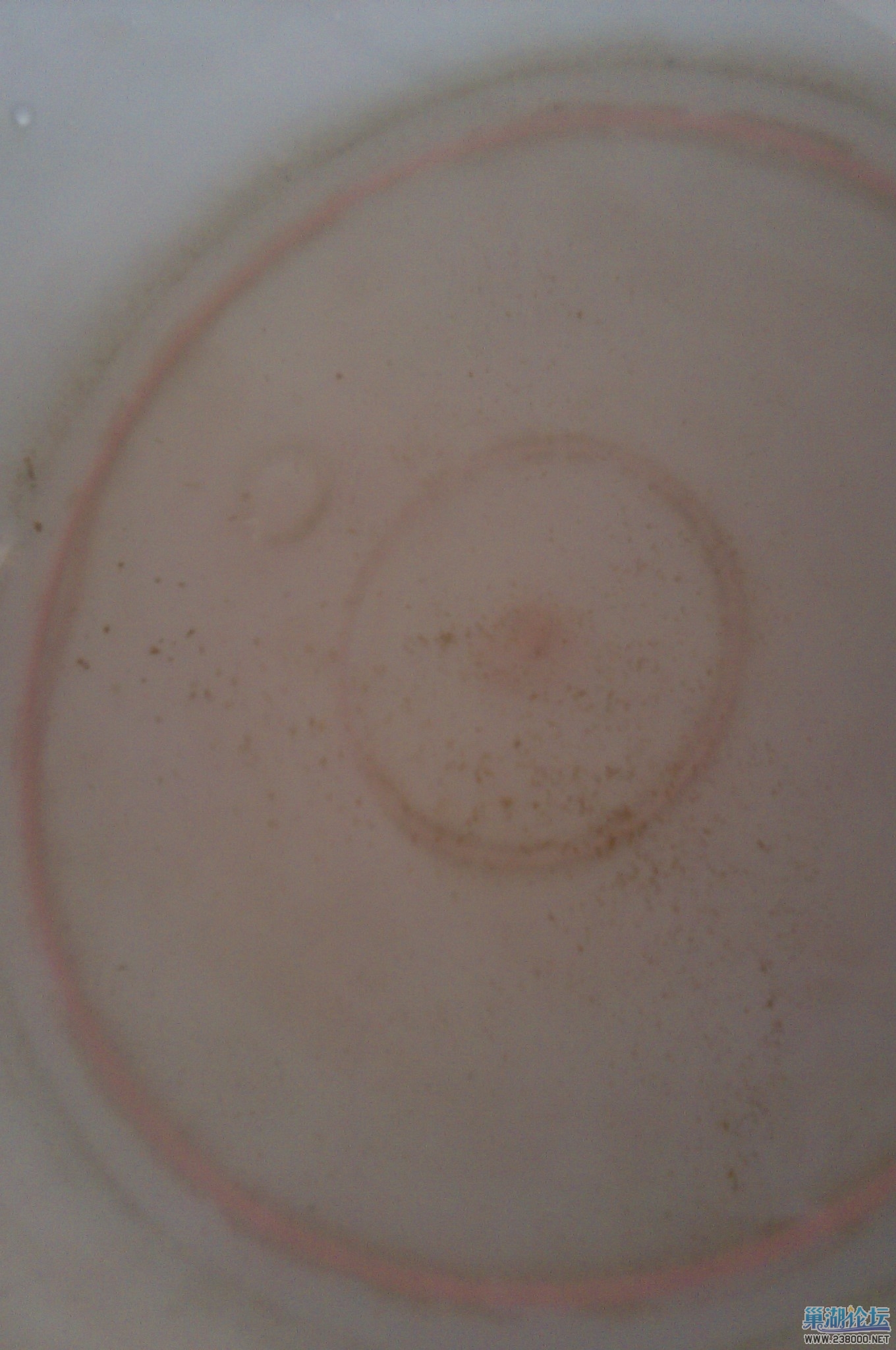 IMAG0035.jpg