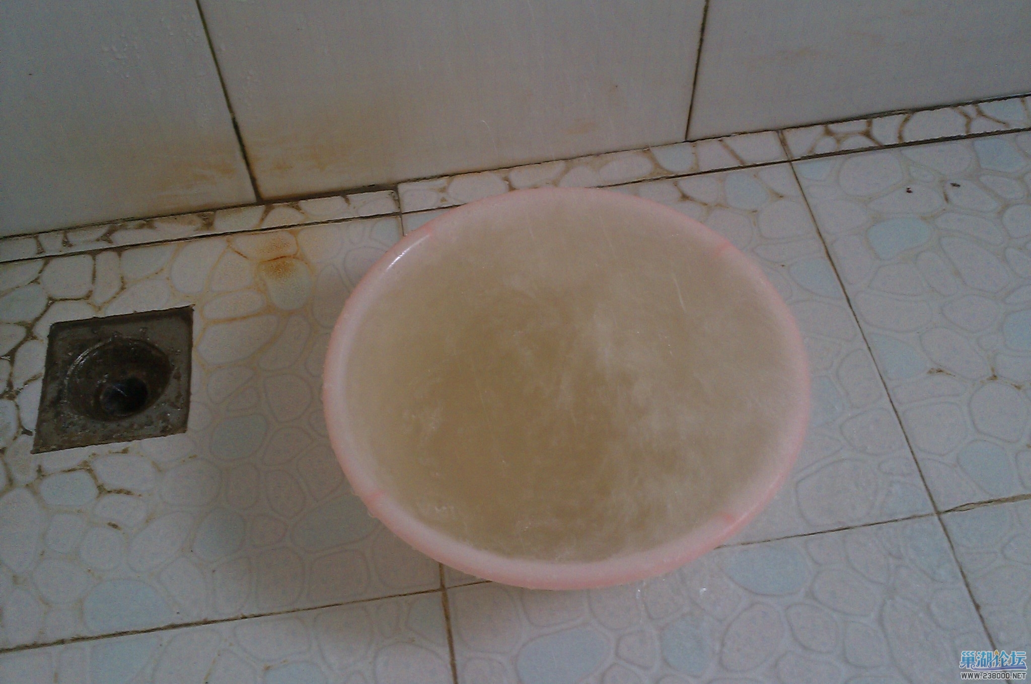 IMAG0037.jpg