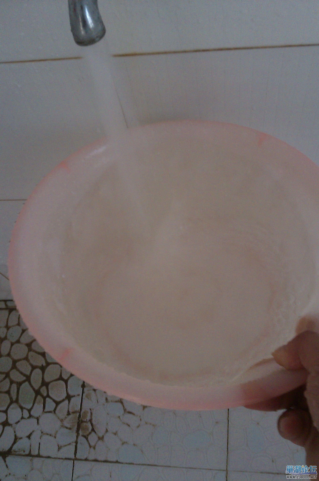 IMAG0033.jpg