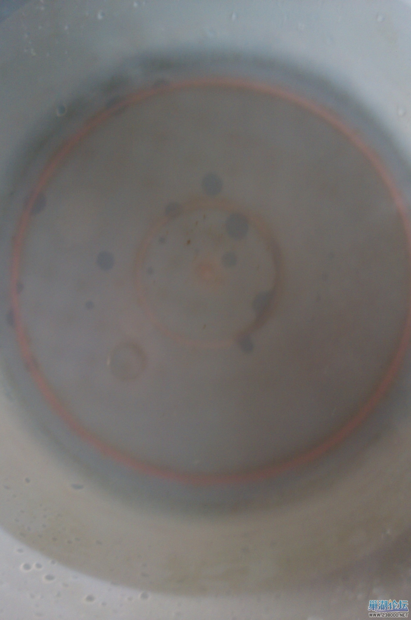 IMAG0034.jpg