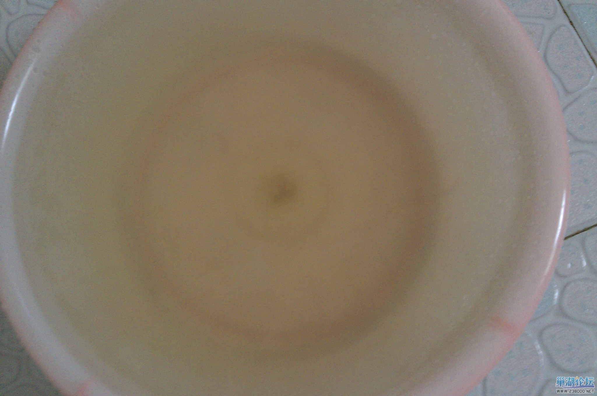 IMAG0039.jpg