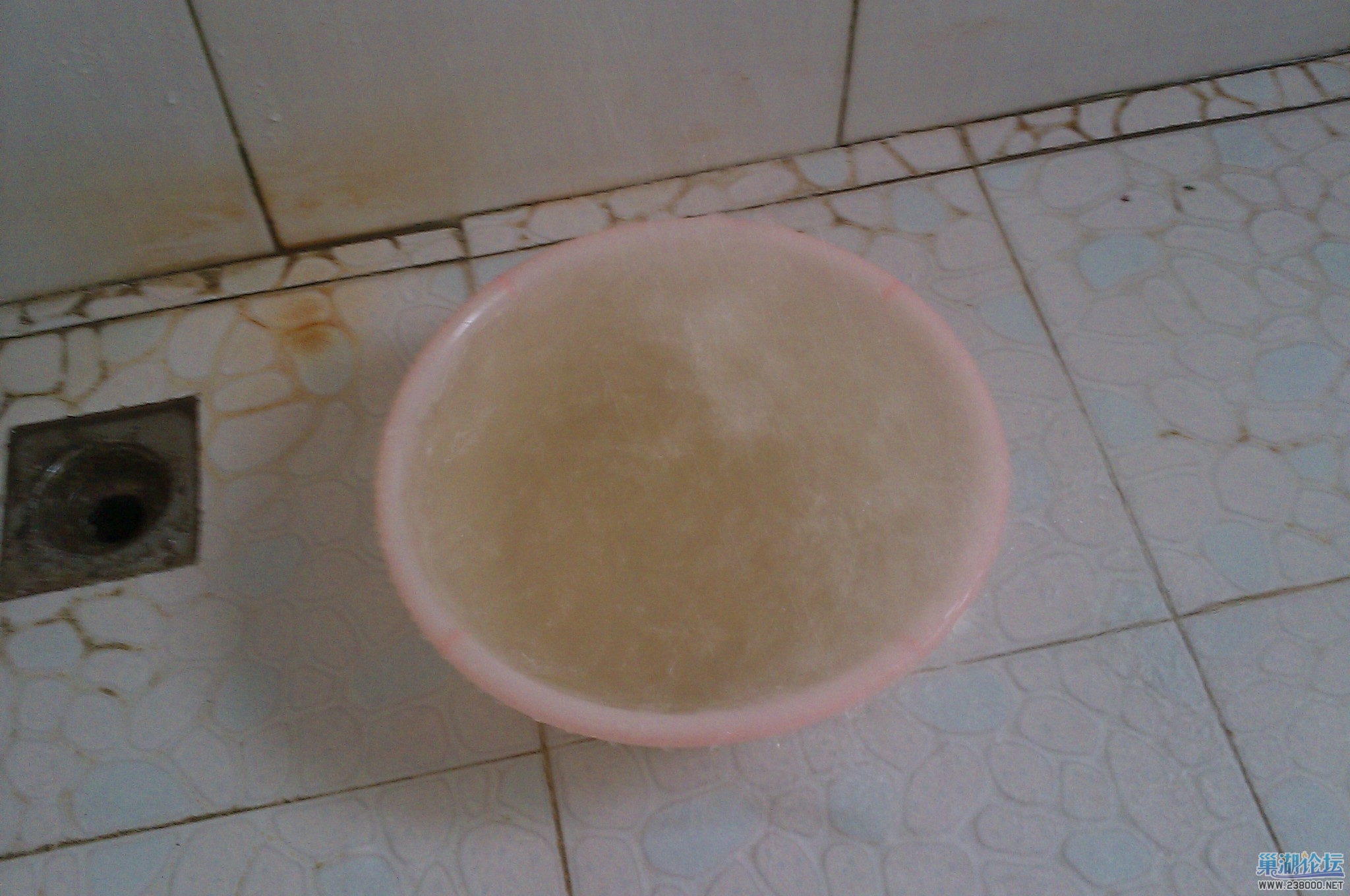 IMAG0036.jpg