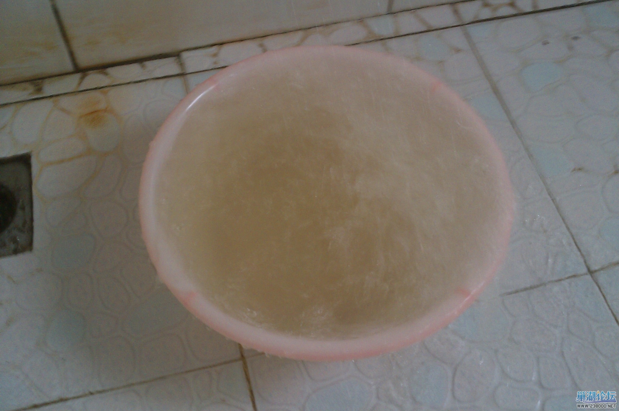 IMAG0038.jpg