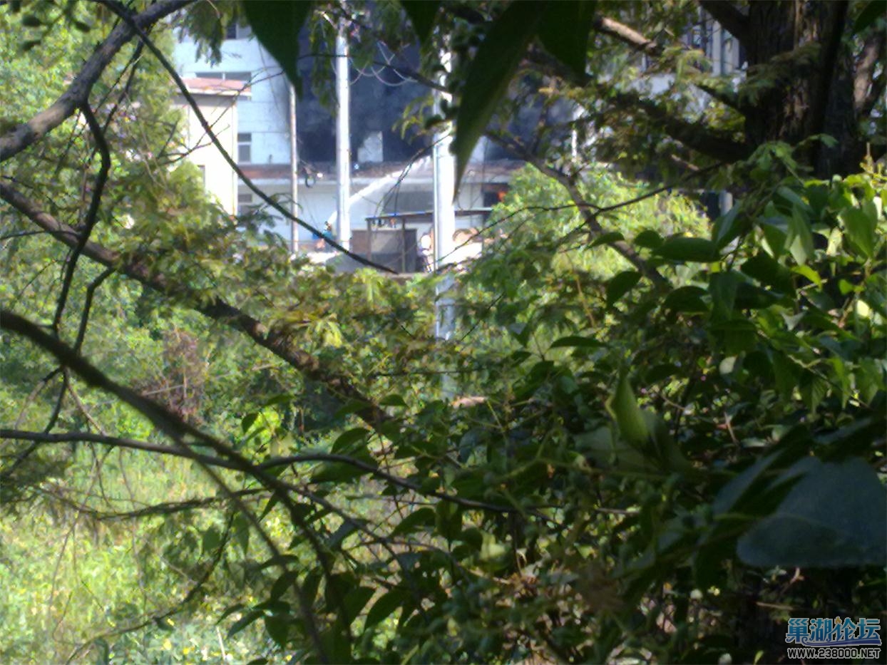 201308161483.jpg