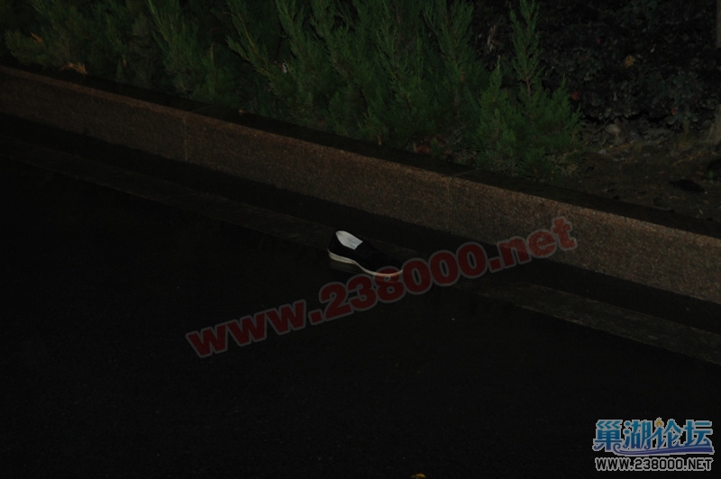 DSC_7427.JPG