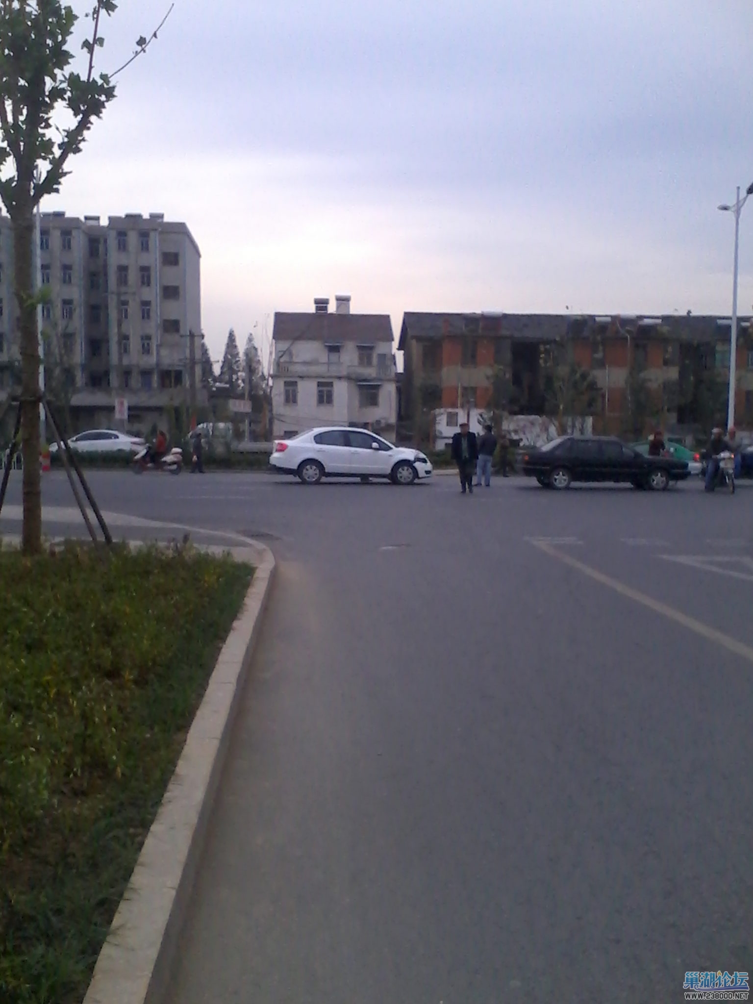 IMG_20131017_070549.jpg