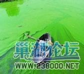 u=133558655,3764844006&amp;fm=21&amp;gp=0.jpg