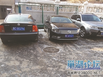 Img391721233.jpg