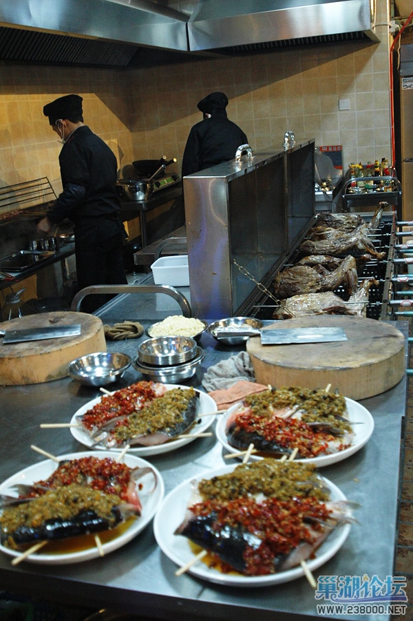 DSC_2598.JPG