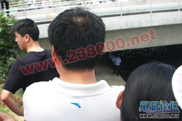 DSC_9417 拷贝.jpg