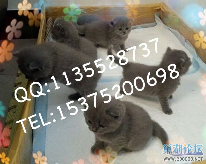 QQ图片20140423212105.jpg