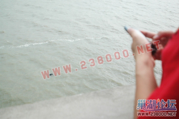 DSC_0139 拷贝.jpg