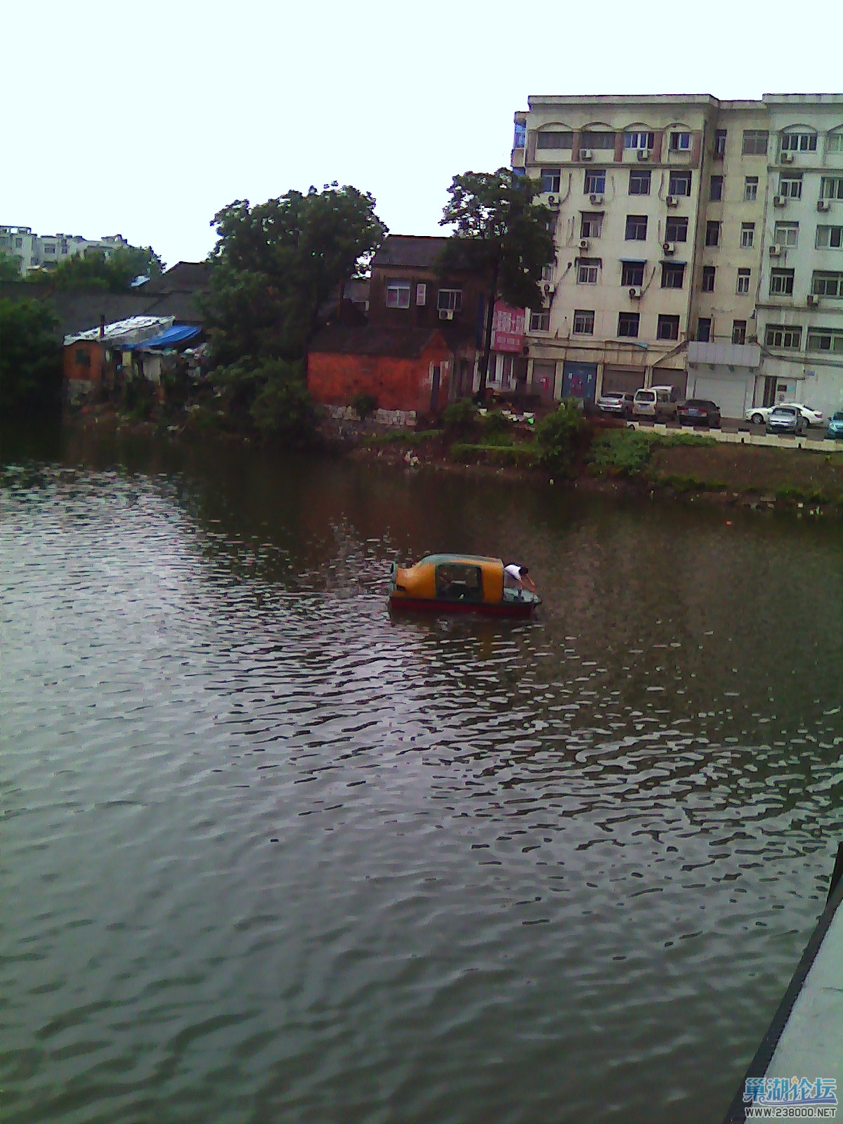 IMG_20140601_151322.jpg