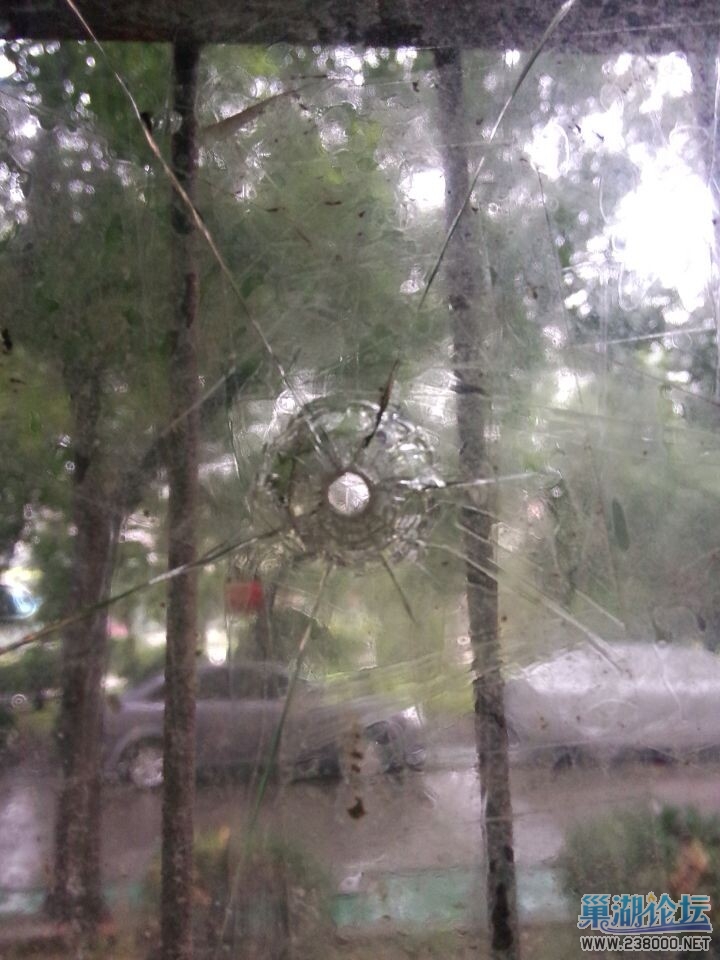 QQ图片20141030093203.jpg