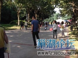 试骑哎
