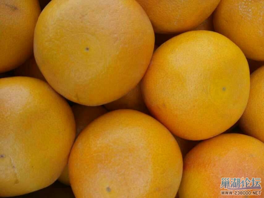 西柚