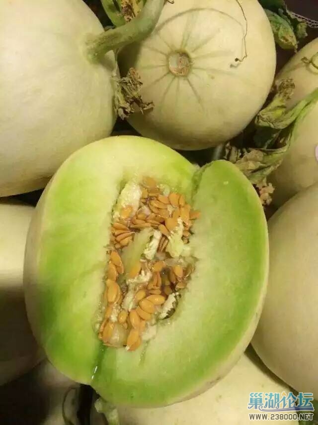 玉菇-卖疯了都，超级好吃，超级甜，甜度绝对的