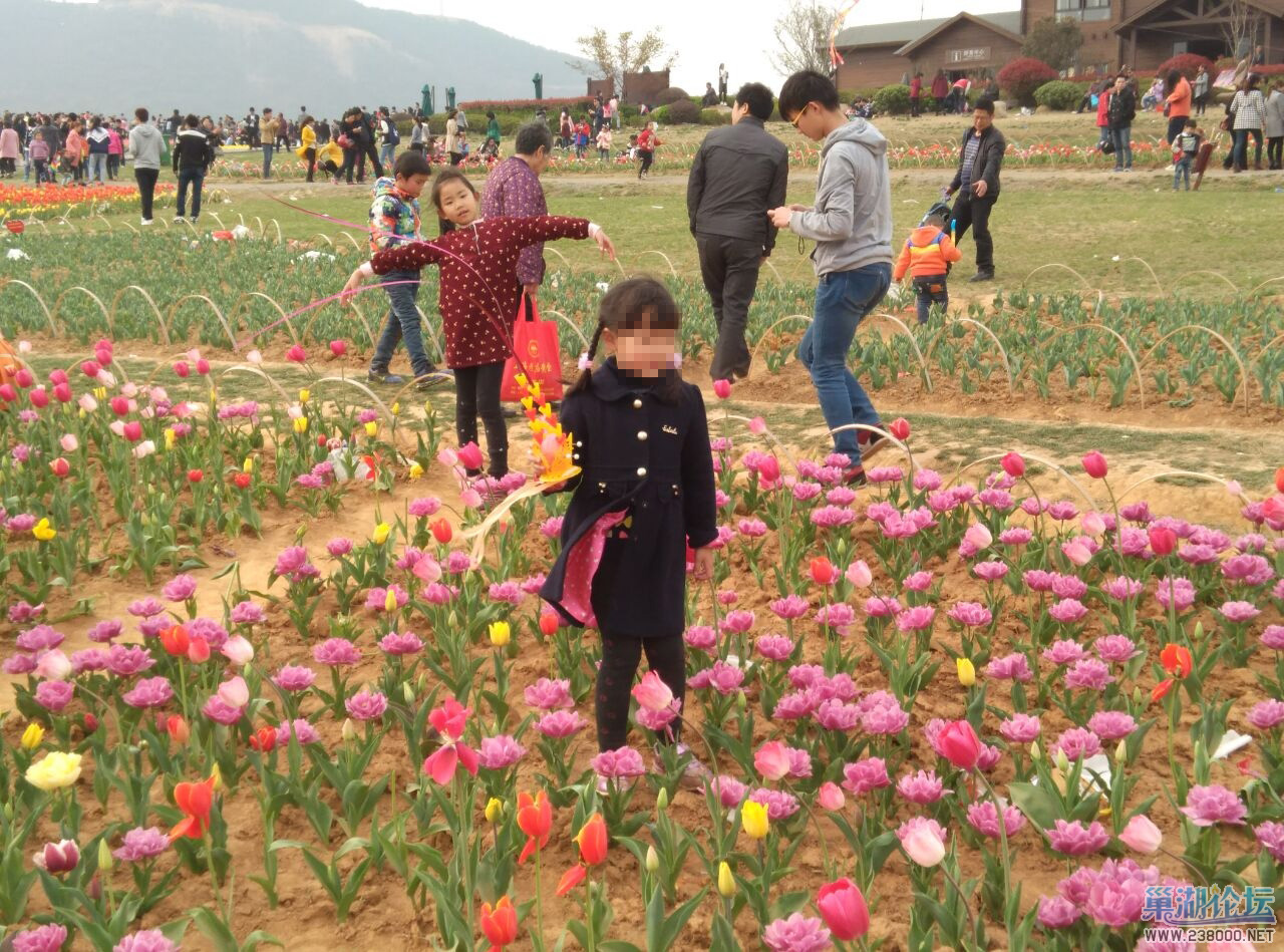 随意进入花圃拍照，大人教育失败呀