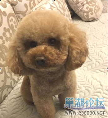 QQ截图20160321103314.png