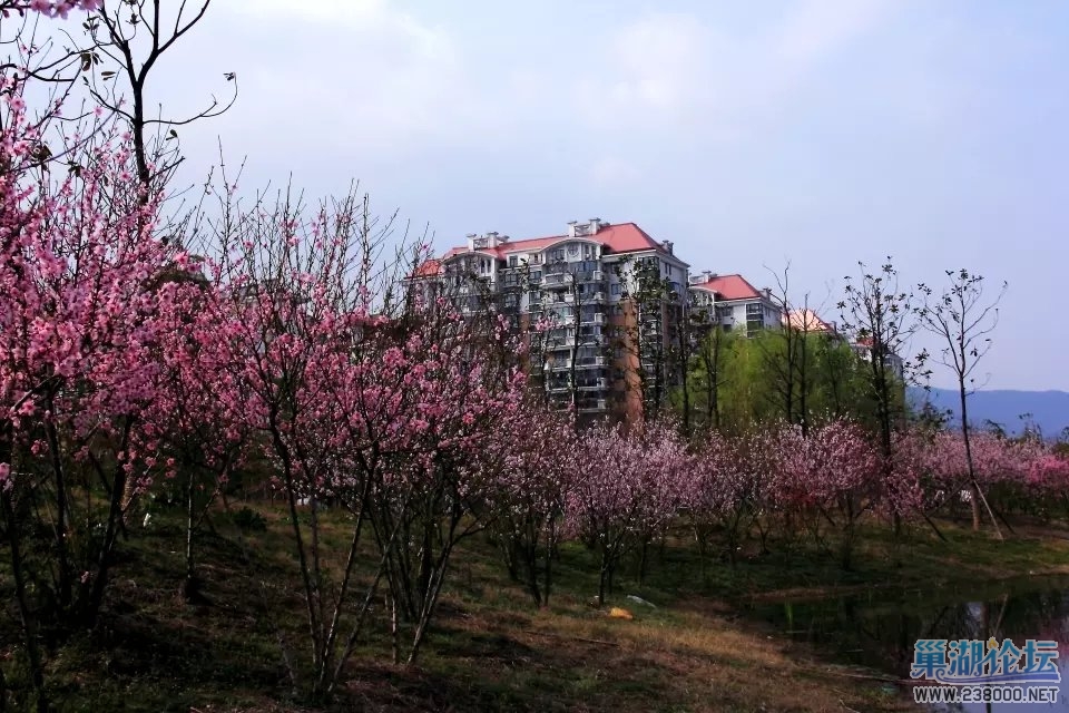 psb (12).jpg